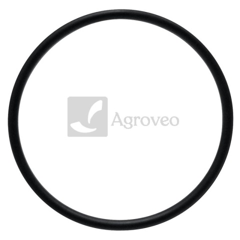 Oring 38002921 704100R1