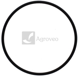 Oring 38006023