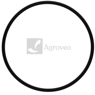 Oring 38006023