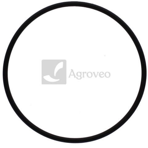 Oring 38006023
