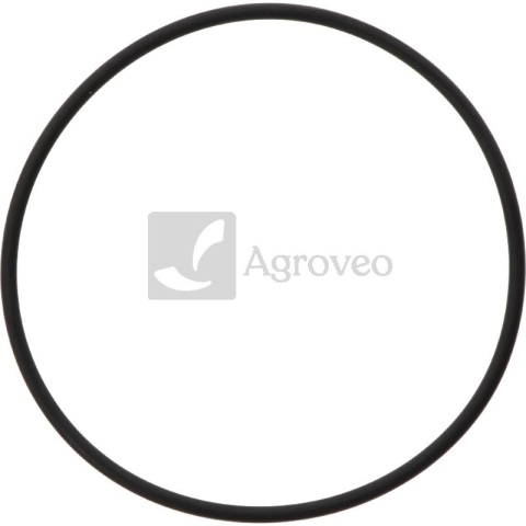 Oring 38006041 130100041001, 01153805
