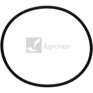 Oring 38006056 F281202210030