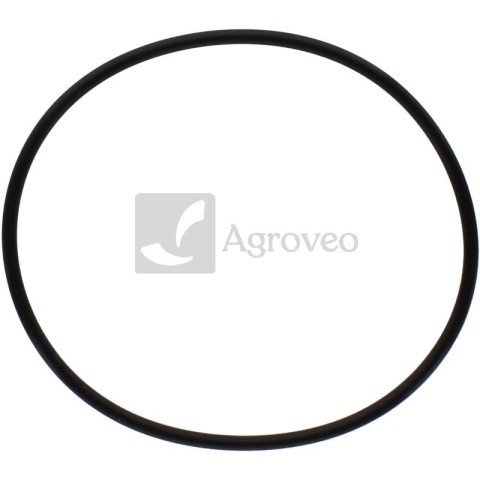 Oring 38006056 F281202210030