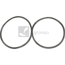 Pierścień uszczelniający 38015671 825864M1, 3910267M1