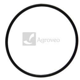 Pierścień uszczelniający 38019132 2.1519.096.0, 2.1519.096.0/20, 2.1519.096.0/10, 2.1539.039.0, 2.1519.096.020