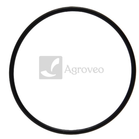 Pierścień uszczelniający 38019132 2.1519.096.0, 2.1519.096.0/20, 2.1519.096.0/10, 2.1539.039.0, 2.1519.096.020