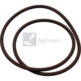 Pierścień uszczelniający 38019133 2.1539.193.0, 2.1539.259.0