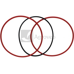 Zestaw oringów 38012481 AR71617