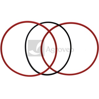 Zestaw oringów 38012481 AR71617