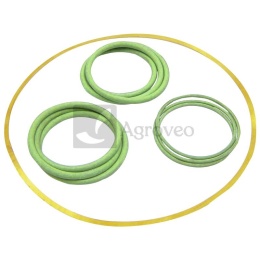 Zestaw oringów 38016785 20040342013