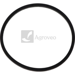 Oring 38006659 F015200060010