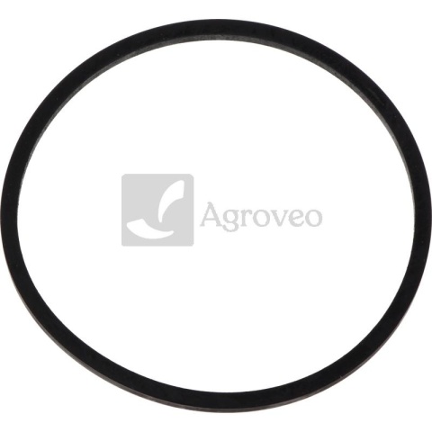 Oring 38006659 F015200060010