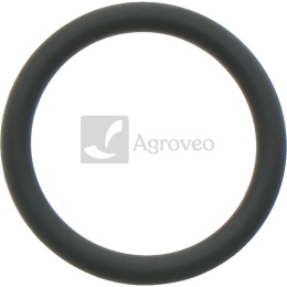 Oring 38012583 R72328