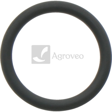 Oring 38012583 R72328