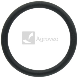 Oring 38022154 V614603540