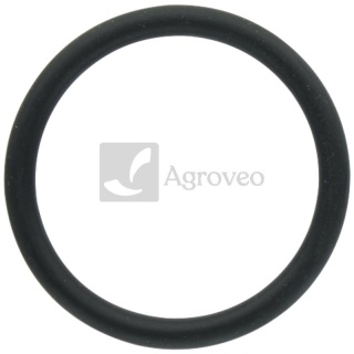 Oring 38022154 V614603540