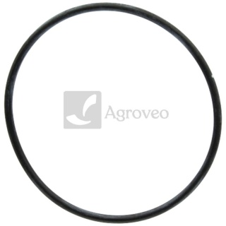 Pierścień uszczelniający 56706039 04252631, F716201060080