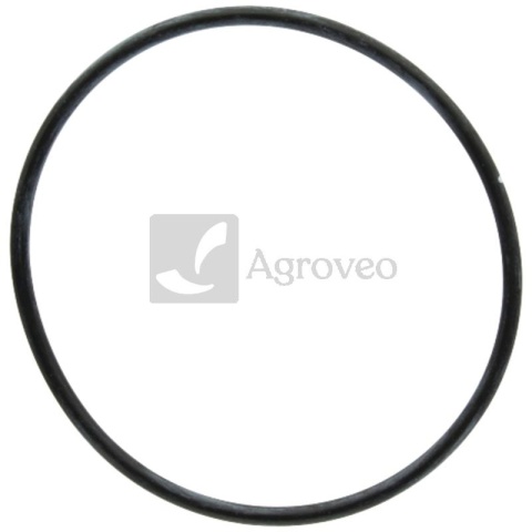 Pierścień uszczelniający 56706039 04252631, F716201060080