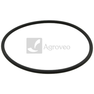 Pierścień uszczelniający 56706040 04901969, F731200060030