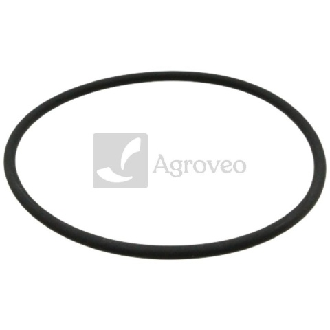 Pierścień uszczelniający 56706040 04901969, F731200060030