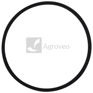 Pierścień uszczelniający 5679972 3069609R91, 3105001R1, 83914036
