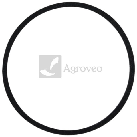 Pierścień uszczelniający 5679972 3069609R91, 3105001R1, 83914036