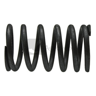 Sprężyna zaworu 38004453 03669305, 03369305