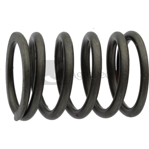 Sprężyna zaworu 38006451 F139207210180, 01222048