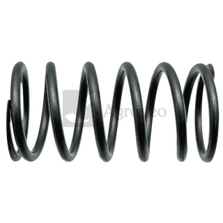 Sprężyna zaworu 38006457 F284201011020