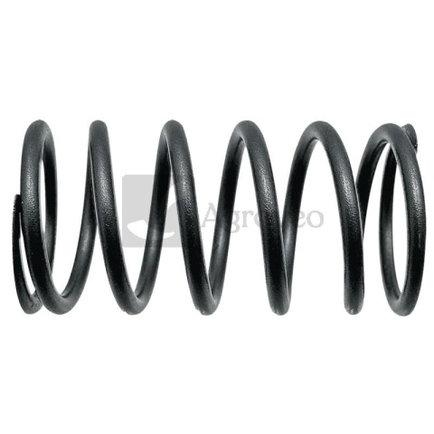 Sprężyna zaworu 38006457 F284201011020