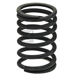 Sprężyna zaworu 38010023 2.4019.287.0