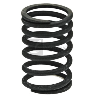 Sprężyna zaworu 38010023 2.4019.287.0