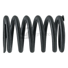 Sprężyna zaworu 38012414 R26125