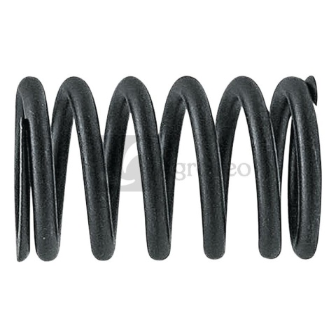 Sprężyna zaworu 38012414 R26125