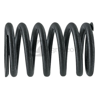 Sprężyna zaworu 38012469 R91822, R91732