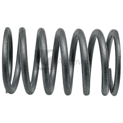 Sprężyna zaworu 38015507 731153M1