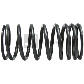 Sprężyna zaworu 38015513 735525M1