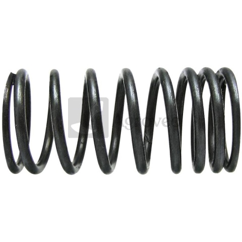 Sprężyna zaworu 38015513 735525M1