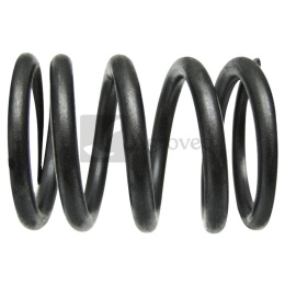 Sprężyna zaworu 38015525 4224316M1