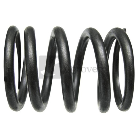 Sprężyna zaworu 38015525 4224316M1