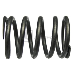 Sprężyna zaworu 38018323 0122997000