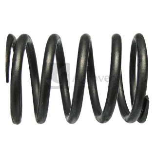 Sprężyna zaworu 38018323 0122997000