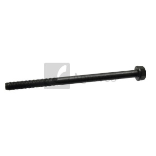 Śruba głowicy cylindra 380002254 J920781