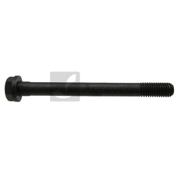 Śruba głowicy cylindra 38002800 3138748R1