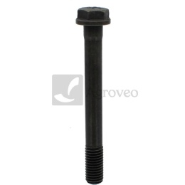 Śruba głowicy cylindra 38002802 3138747R1