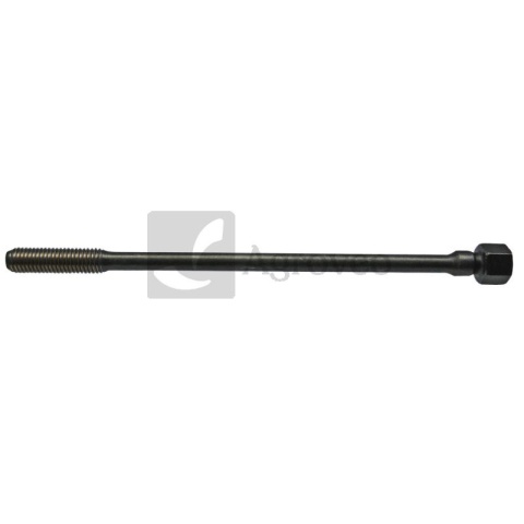 Śruba głowicy cylindra 38004052 02101681