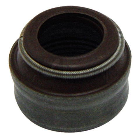 Uszczelnienie trzonka zaworu 38010025 2.1519.117.0