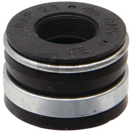 Uszczelnienie trzonka zaworu 380120163 R110524