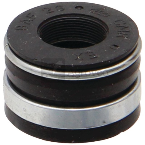 Uszczelnienie trzonka zaworu 380120163 R110524