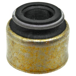 Uszczelnienie trzonka zaworu 38016692 3520530396, 577.901